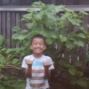 Meet your Posher, Sesko